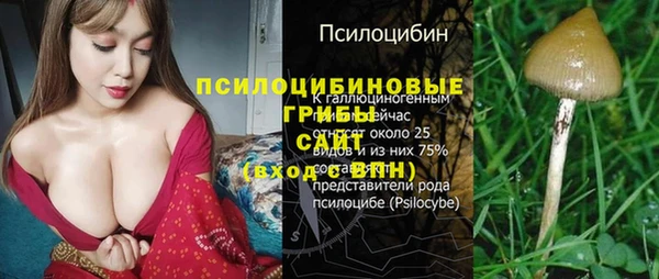 прущая мука Надым