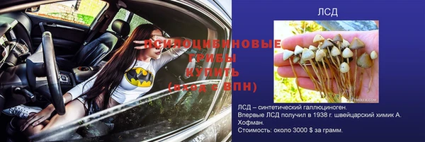 прущая мука Надым